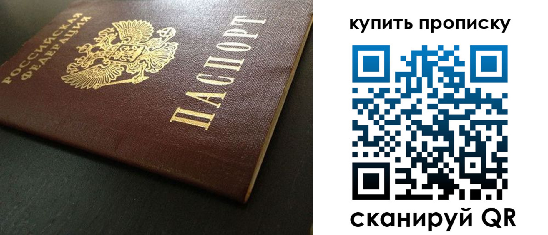 прописка законно в Николаевске